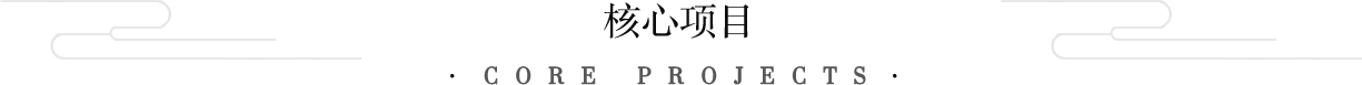 核心項(xiàng)目