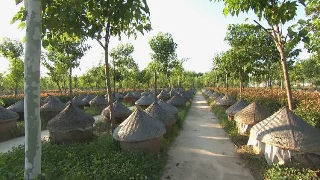 文旅菏澤