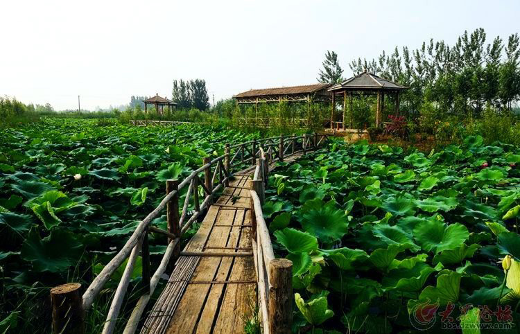 旅行菏澤