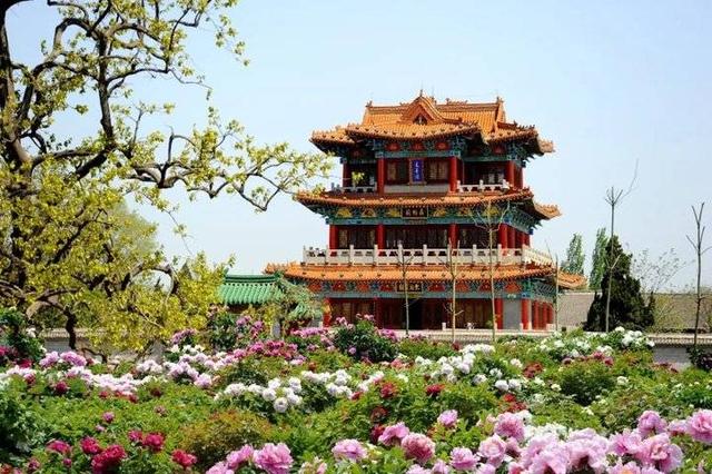 旅行菏澤